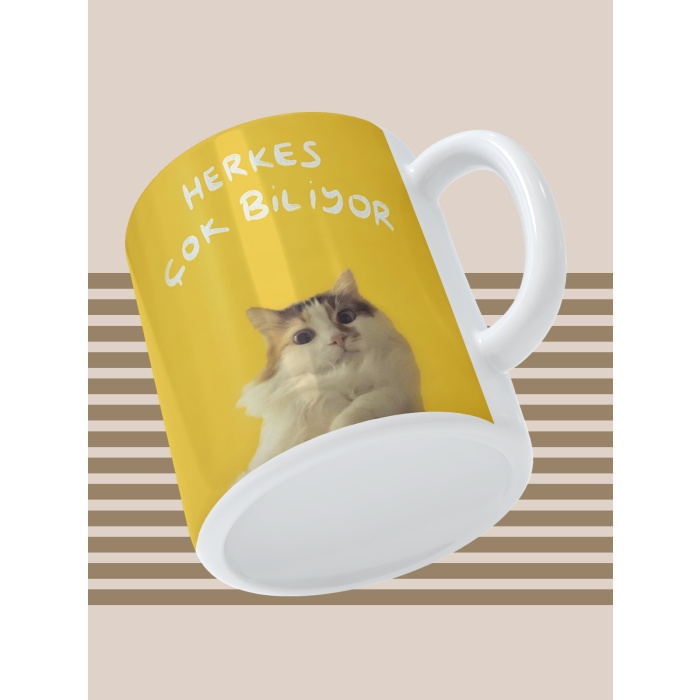 Baskılı Kupa Bardak Seramik Mug - Herkes Çok Biliyor