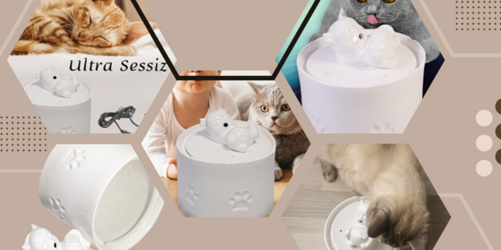 Kediler İçin Su Pınarı: Seramik Kedi Mama Kabı İle Hijyenik Su
