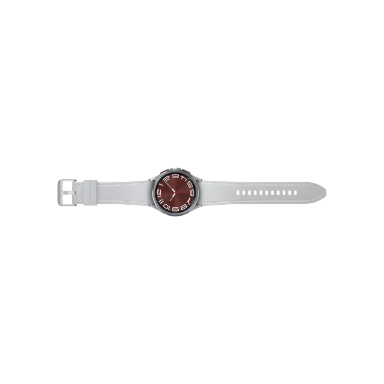 SAMSUNG SAMSUNG Watch 6 Classic (43mm) Gümüş Akıllı Saat