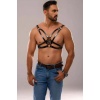 Erkek Deri Fantazi Harness - APFTM141