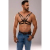 Erkek Deri Fantazi Harness - APFTM141