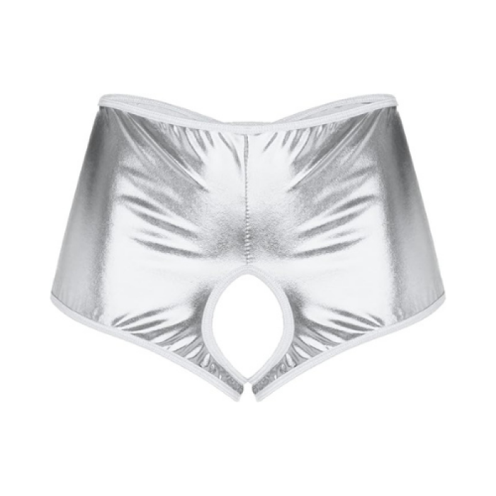 Fantezi Gümüş Özel Bölgeleri Açık Parlak Külot BC0049