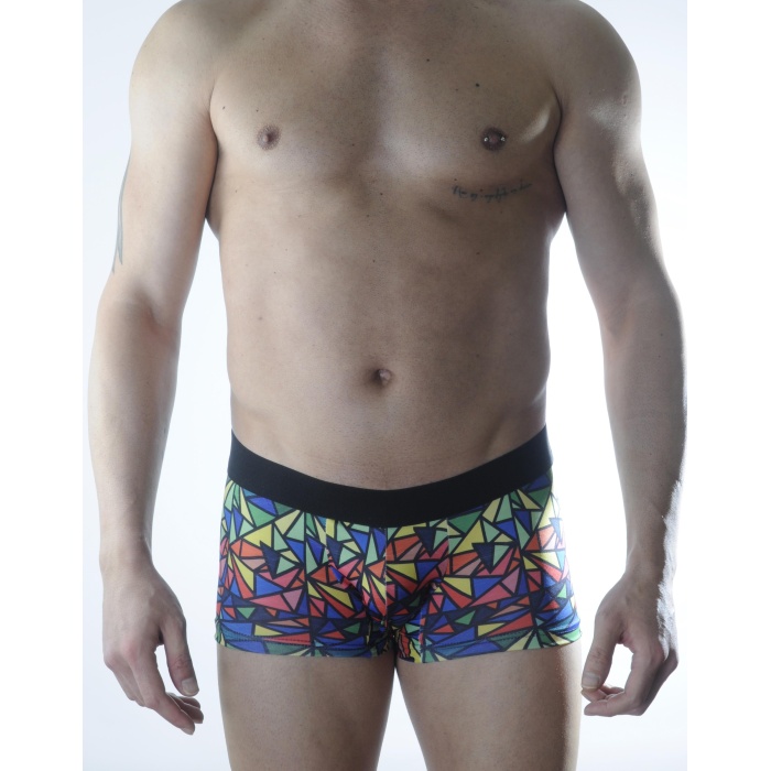 Erkek Renkli Desenli Boxer