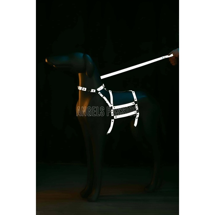 Reflektörlü - Ayarlanabilir Köpek Harness - Köpek Gezdirme Aparatı - NPD007