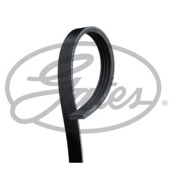 Fiorino 1.4 8V V Kayışı GAT-RDM698K4