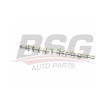 Renault Clio 2005-2014 Arası 1.5 dCi BSG Marka Eksantrik Mili