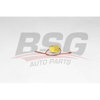 Renault Megane 1995-2004 Arası 1.9 dTi BSG Marka Yağ Dolum Kapağı