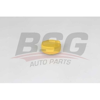 Renault Clio 1990-2016 Arası 1.9 D BSG Marka Yağ Dolum Kapağı