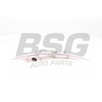 Volkswagen Passat 2000-2005 Arası 1.9 TDI, 1.9 TDI 4motion BSG Marka EGR Borusu