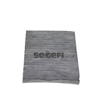 Renault Kangoo 1997-2001 Arası 1.6 16V bivalent, 1.5 dCi Purflux Marka Karbonlu Polen Filtresi