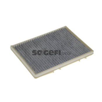 Renault Megane 1995-2004 Arası 1.4 e, 1.9 dT, 1.6 i, 2.0 i, 1.4 Eco, 1.6 e, 1.9 D Eco, 2.0 16V Purflux Marka Karbonlu Polen Filtresi