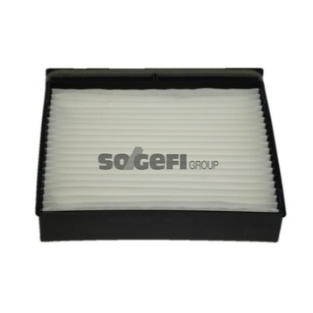 Renault Scenic 2003-2010 Arası 1.6, 1.5 dCi, 1.9 dCi, 1.4, 2.0 16V Turbo, 2.0, 1.6 Hi-Flex Purflux Marka Polen Filtresi