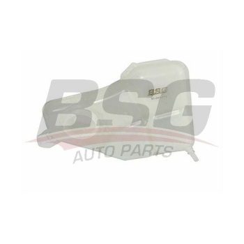 Ford Fusion 2002-2012 Arası 1.6, 1.4, 1.25, 1.4 LPG BSG Marka Radyatör Yedek Su Deposu