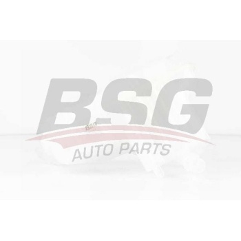 Peugeot 407 2004-2011 Arası 2.0 HDi 135, 1.6 HDi 110 BSG Marka Radyatör Yedek Su Deposu