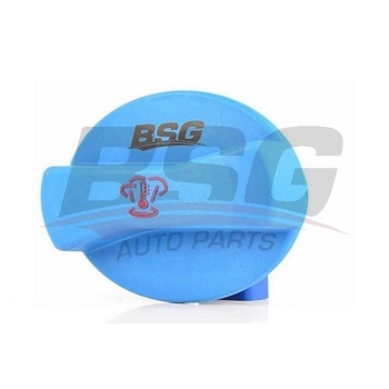 Audi A6 1994-1997 Arası 1.9 TDI, 2.5 TDI BSG Marka Radyatör Yedek Su Depo Kapağı