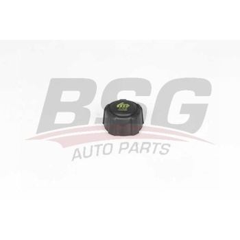 Renault Megane 2001-2014 Arası 1.5 dCi, 1.6 16V, 2.0 TCe, 2.0 CVT BSG Marka Radyatör Yedek Su Depo Kapağı