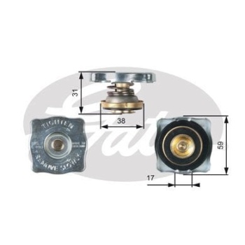 Fiat Ducato 1982-1994 Arası 2.5 D, 1.9 D, 2.0, 1.9 TD, 2.5 TD Gates Marka Radyatör Kapağı