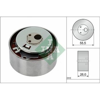 Fiat 500 2007-2011 Arası 1.2 LPG INA Marka Triger Gergi Rulmanı