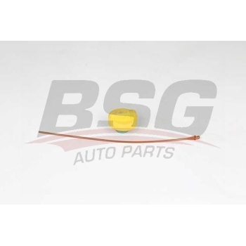 Renault Megane 1995-2008 Arası 1.9 dTi BSG Marka Motor Yağ Çubuğu