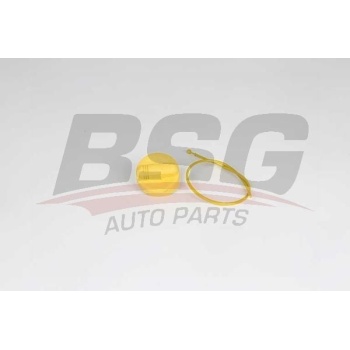 Renault Clio 2005-2014 Arası 1.5 dCi BSG Marka Motor Yağ Çubuğu