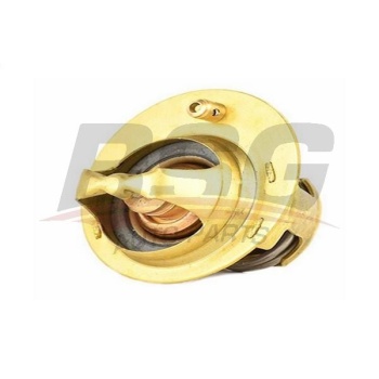 Ford Puma 1997-2002 Arası 1.6 16V BSG Marka Termostat