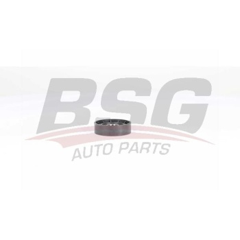 Renault Latitude 2010-2014 Arası 2.0 dCi 150 BSG Marka Vantilatör Kayış Gergi Rulmanı