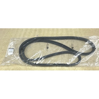 DACİA DUSTER 17> ARKA SOL KAPI TOZ LASTİĞİ (FİTİLİ) 769230974R