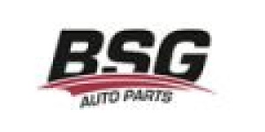 BSG