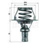 Renault Express 1985-2001 Arası 1.4, 1.4 RN Mahle Marka Termostat
