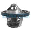 Ford Puma 1997-2002 Arası Racing ST 160, 1.6 16V Dayco Marka Termostat