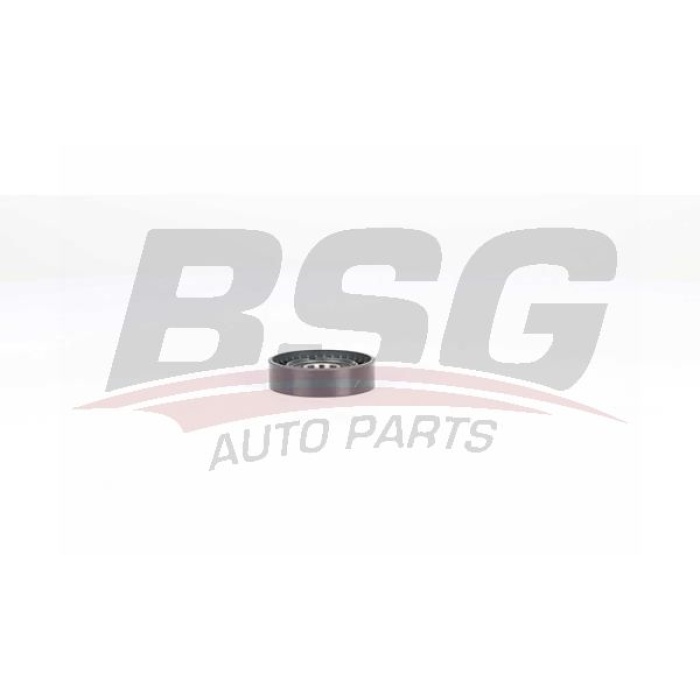 Renault Megane 2008-2012 Arası 1.5 dCi BSG Marka Vantilatör Kayış Gergi Rulmanı