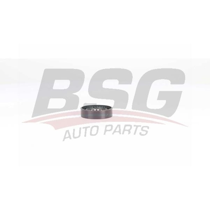 Renault Megane 2008-2012 Arası 1.5 dCi BSG Marka Vantilatör Kayış Gergi Rulmanı