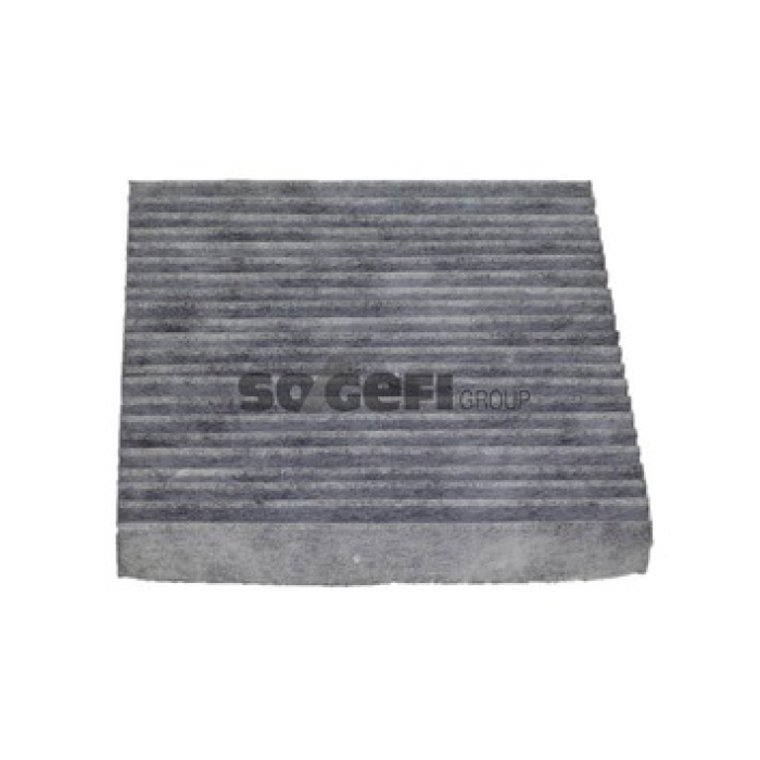 Renault Vel Satis 2002-2006 Arası 2.2 dCi Purflux Marka Karbonlu Polen Filtresi