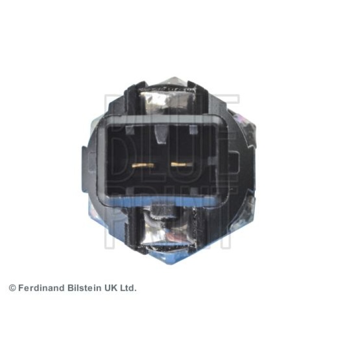 Renault Megane 2008-2014 Arası 1.5 dCi, 1.6 16V Blueprint Marka Vuruntu Sensörü