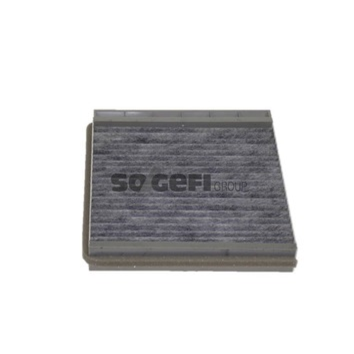 Renault Scenic 1999-2010 Arası 1.9 dCi, 1.4 16V, 2.0 16V RX4, 1.9 dTi, 1.8 16V, 2.0 16V, 1.9 dCi RX4 Purflux Marka Karbonlu Polen Filtresi