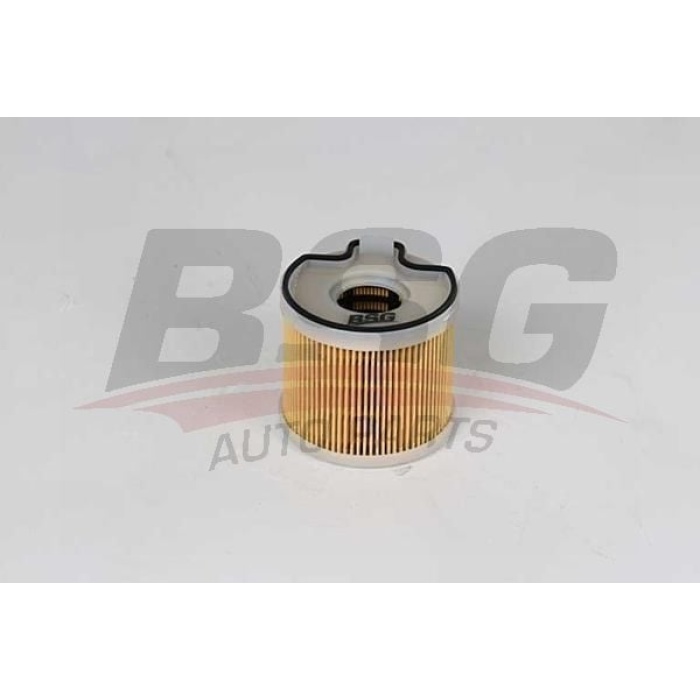 Peugeot 406 1995-2005 Arası 2.0 HDi 110, 2.0 HDI 110 BSG Marka Yakıt Filtresi