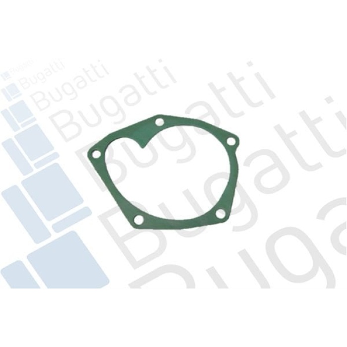 Renault Scenic 1999-2010 Arası 1.9 dCi RX4 Bugatti Marka Devirdaim Su Pompası