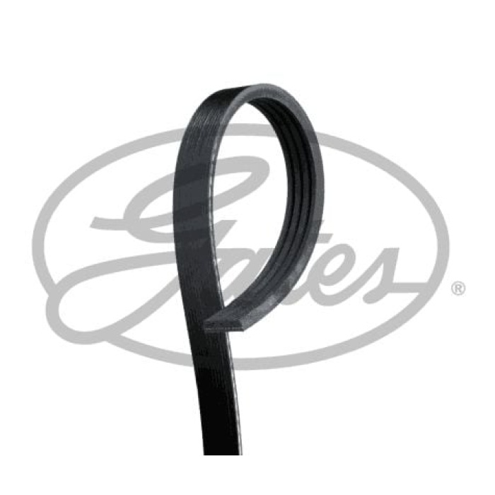 Chevrolet Corvette 2004-2008 Arası 6.0 Gates Marka Vantilatör Kayışı