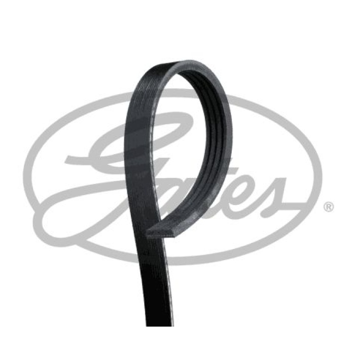 Fiat Doblo 2001-2005 Arası 1.2 Gates Marka Vantilatör Kayışı