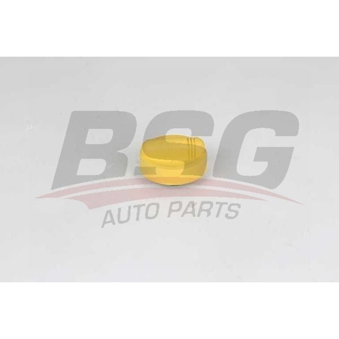 Renault Megane 2001-2012 Arası 1.5 dCi, 1.6 16V, 2.0 TCe BSG Marka Yağ Dolum Kapağı