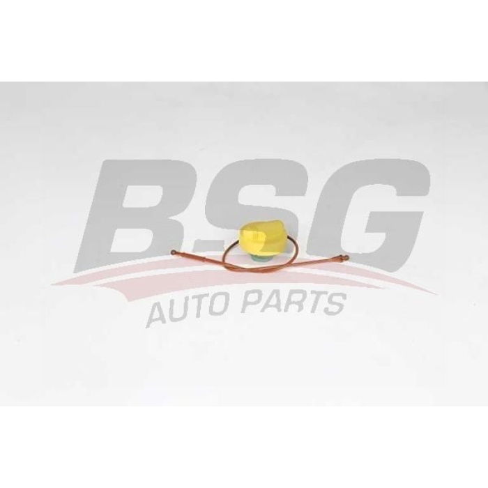 Renault Megane 1995-2004 Arası 1.9 dTi BSG Marka Yağ Dolum Kapağı