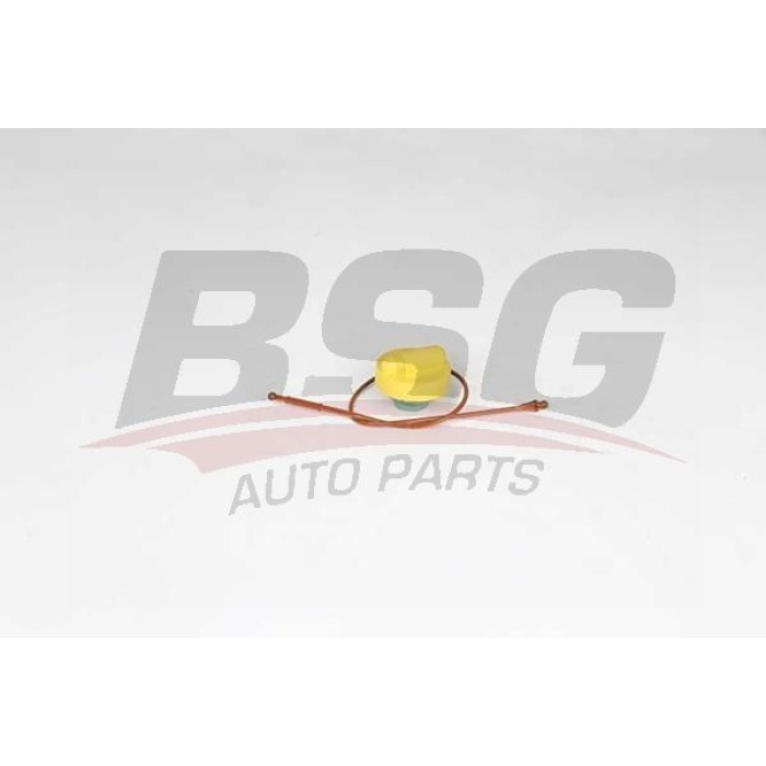 Renault Clio 1998-2016 Arası 1.9 dTi BSG Marka Yağ Dolum Kapağı