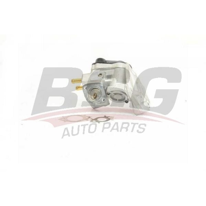 Seat Altea 2004-2008 Arası 2.0 FSI BSG Marka EGR Valfi