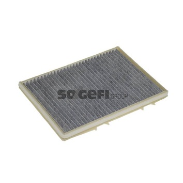 Renault Megane 1995-2004 Arası 1.4 e, 1.9 dT, 1.6 i, 2.0 i, 1.4 Eco, 1.6 e, 1.9 D Eco, 2.0 16V Purflux Marka Karbonlu Polen Filtresi