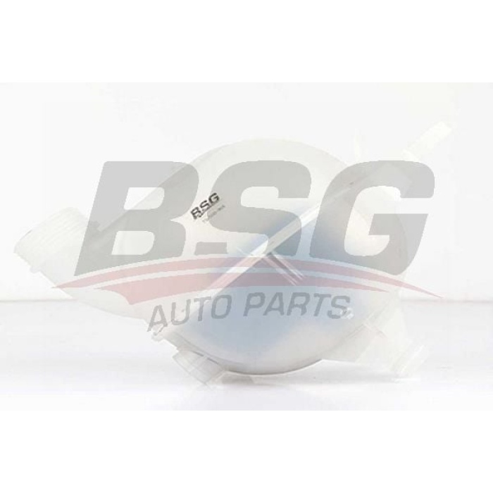 Citroen C2 2003-2017 Arası 1.4 HDi, 1.6, 1.1, 1.4 BSG Marka Radyatör Yedek Su Deposu