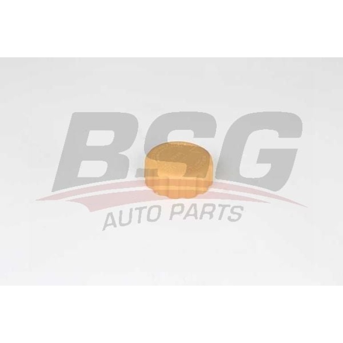 Chevrolet Kalos 2005-2009 Arası 1.2 BSG Marka Radyatör Yedek Su Depo Kapağı