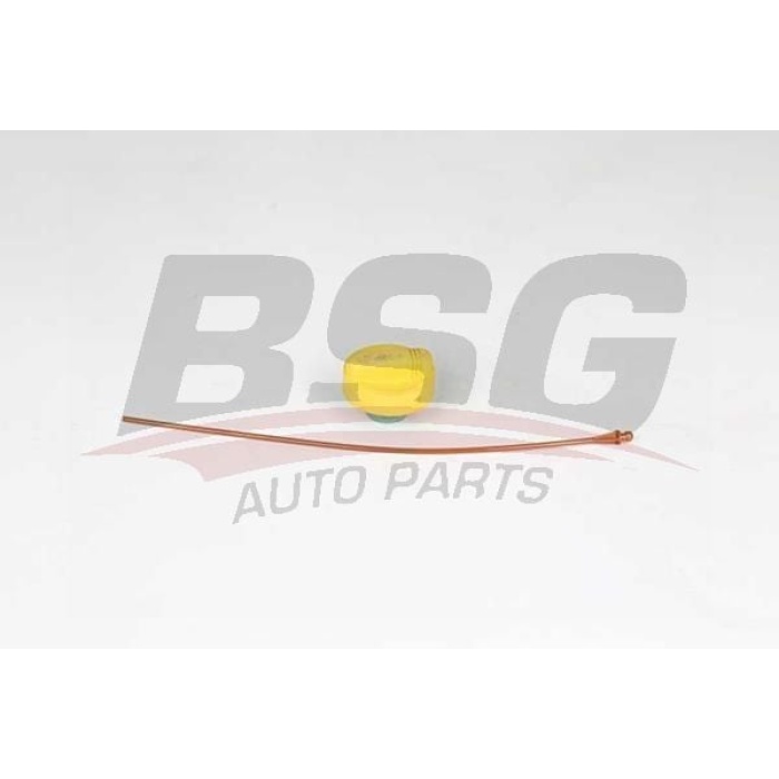 Renault Megane 1995-2008 Arası 1.9 dTi BSG Marka Motor Yağ Çubuğu