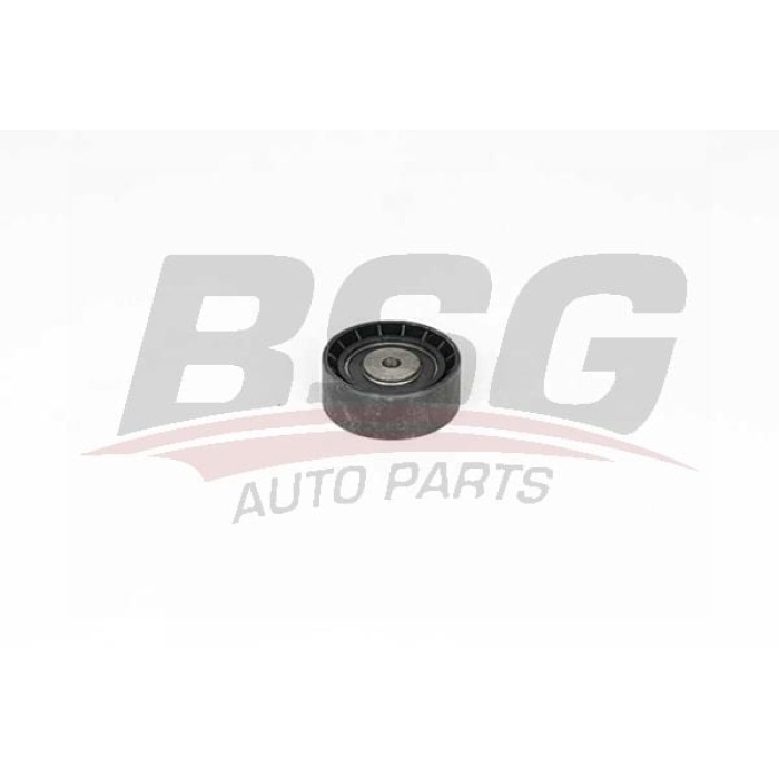 Renault Symbol 2008-2012 Arası 1.2 16V BSG Marka Vantilatör Kayış Gergi Rulmanı