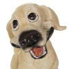 Pretty Oturan Mutlu Köpek Biblo 15cm