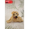 Pretty Oturan Mutlu Köpek Biblo 19cm